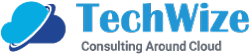 TechWize Logo